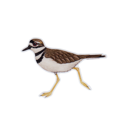 Killdeer Vinyl Sticker