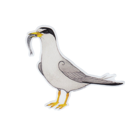 Least Tern Vinyl Sticker