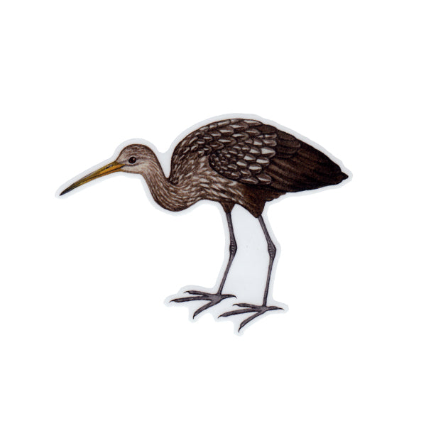 Limpkin Vinyl Sticker