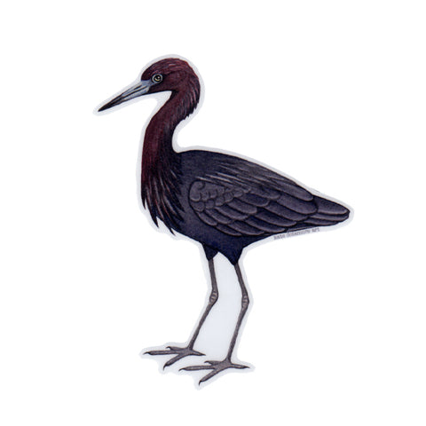 Little Blue Heron Vinyl Sticker