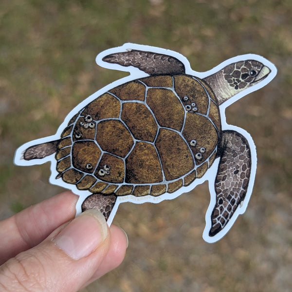 Loggerhead Sea Turtle Vinyl Sticker (2026)