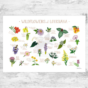 Louisiana Wildflowers Field Guide Art Print