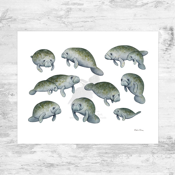 Manatees Art Print