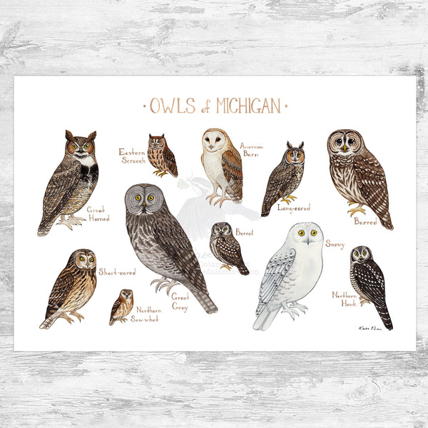 Michigan Owls Field Guide Art Print