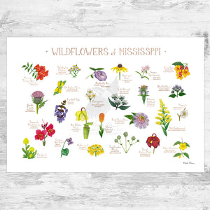 Mississippi Wildflowers Field Guide Art Print