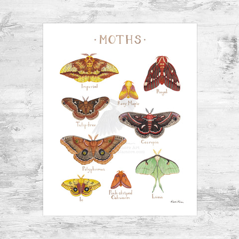 Moths Art Print