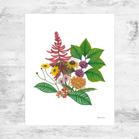 Florida Native Plant Bouquet Art Print