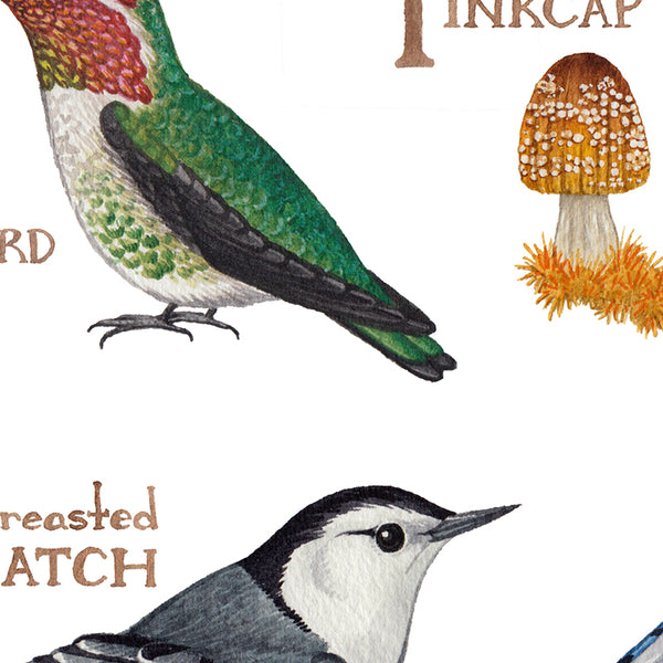 Nature Alphabet Chart Art Print