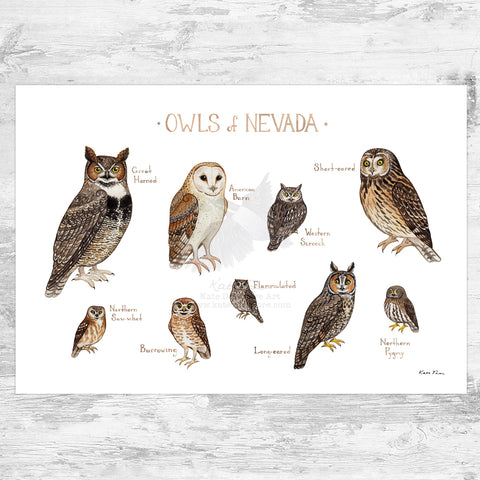 Nevada Owls Field Guide Art Print