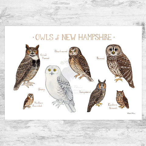 New Hampshire Owls Field Guide Art Print
