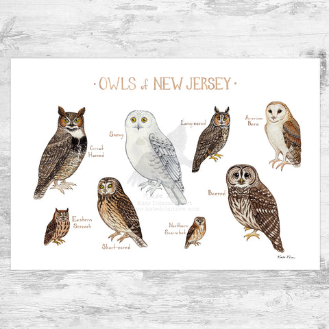 New Jersey Owls Field Guide Art Print