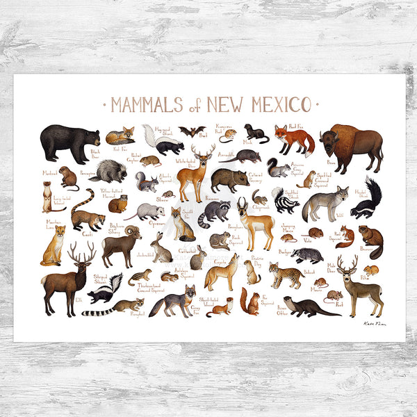 New Mexico Mammals Field Guide Art Print