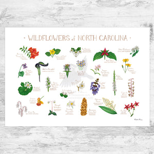 North Carolina Wildflowers Field Guide Art Print
