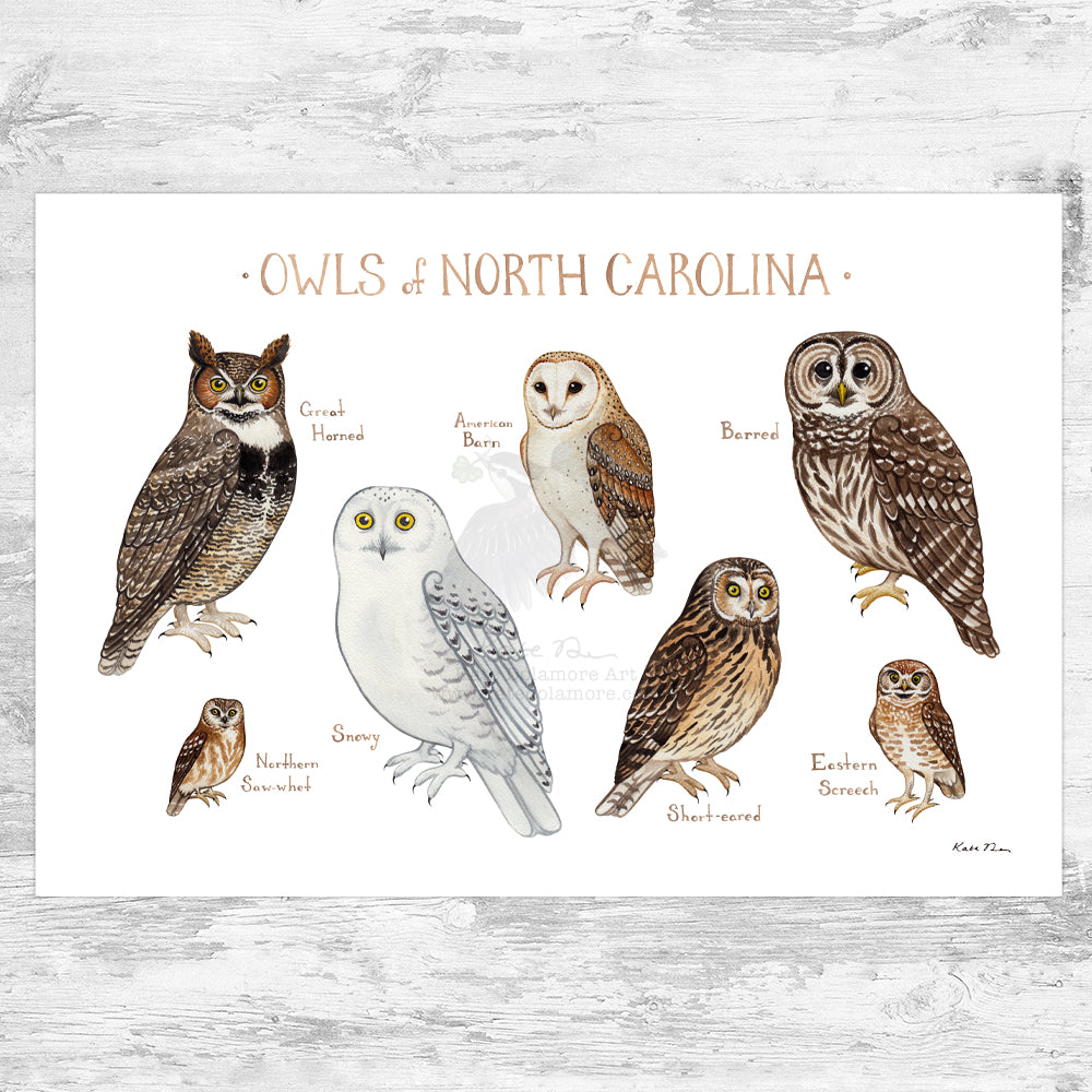 North Carolina Owls Field Guide Art Print
