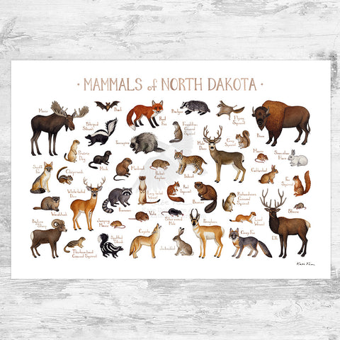 North Dakota Mammals Field Guide Art Print