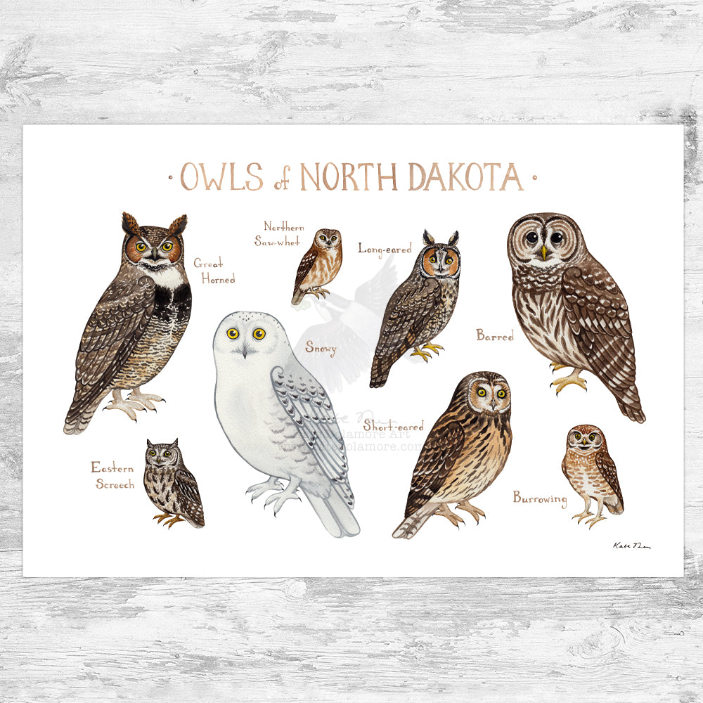 North Dakota Owls Field Guide Art Print
