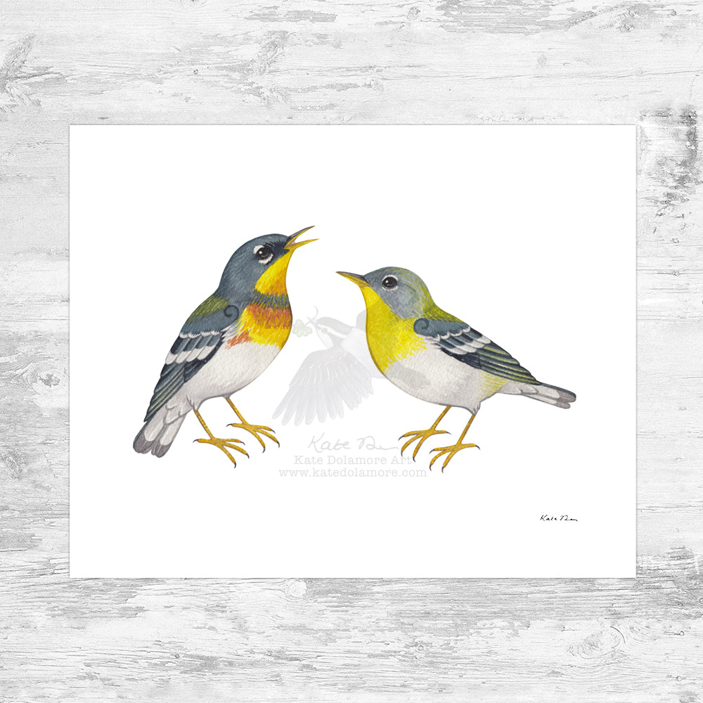 Northern Parula Art Print