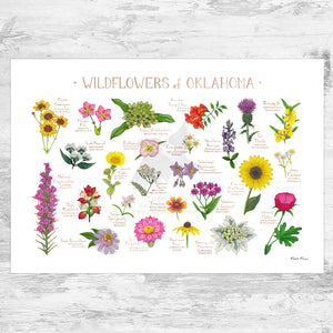 Oklahoma Wildflowers Field Guide Art Print – Kate Dolamore Art