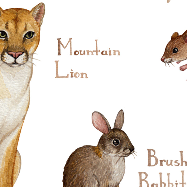 Oregon Land Mammals Field Guide Art Print