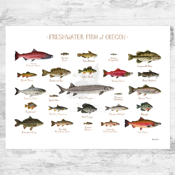 Oregon Freshwater Fish Field Guide Art Print