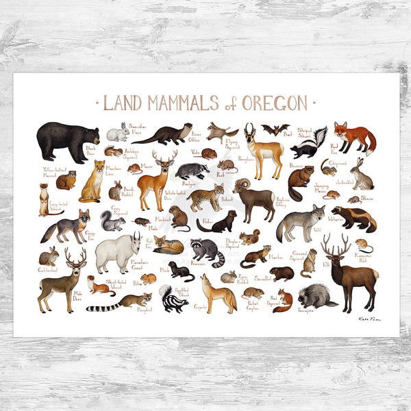 Oregon Land Mammals Field Guide Art Print