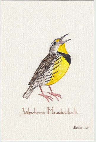 Western Meadowlark 6x9 Original Watercolor Painting