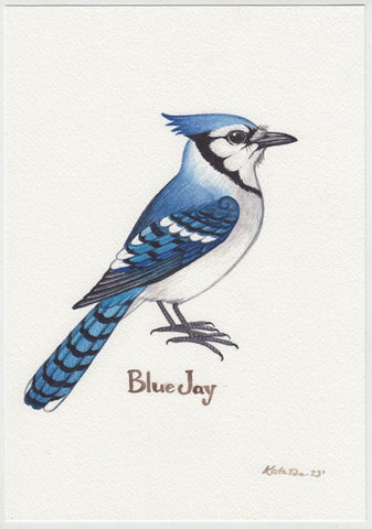Blue Jay 7x10 Original Watercolor Painting