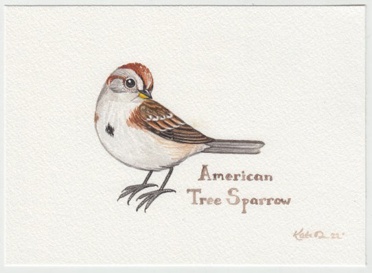 American Tree Sparrow 7x10 Original Watercolor Painting