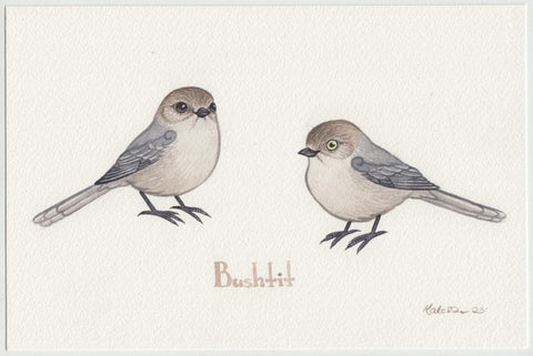 Bushtit (Coastal, Minimus) 9x6 Original Watercolor Painting
