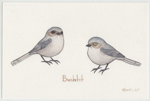 Bushtit (Interior, Plumbeous) 9x6 Original Watercolor Painting
