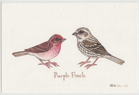 Purple Finch (Eastern, Purpureus) 9x6 Original Watercolor Painting