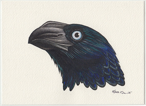 Greater Ani 7x5 Original Watercolor Painting