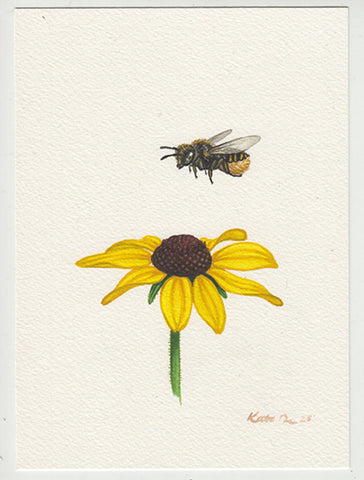 Black-eyed Susan with Leafcutter Bee 5x7 Original Watercolor Painting