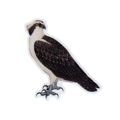 Osprey Vinyl Sticker