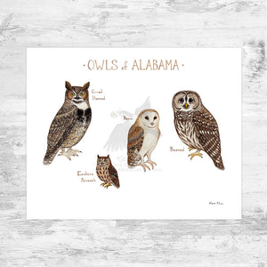 Alabama Owls Field Guide Art Print