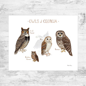 Georgia Owls Field Guide Art Print