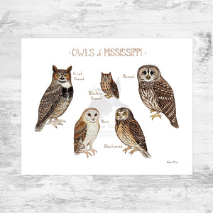 Mississippi Owls Field Guide Art Print