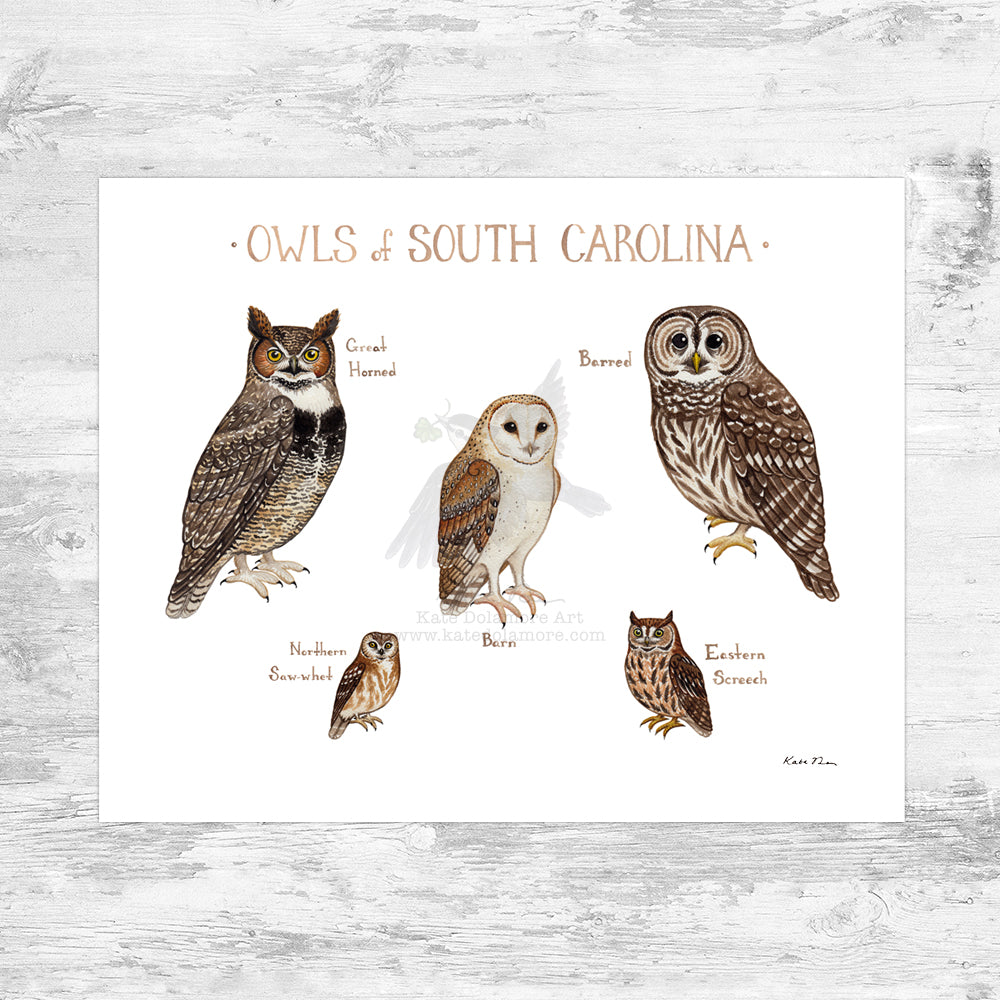 South Carolina Owls Field Guide Art Print