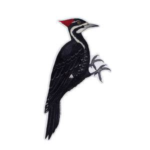 Pileated Woodpecker Vinyl Sticker