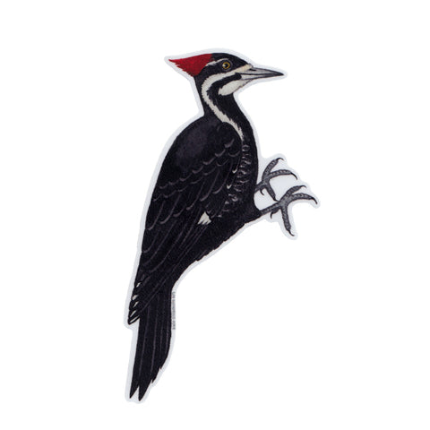Pileated Woodpecker Vinyl Sticker