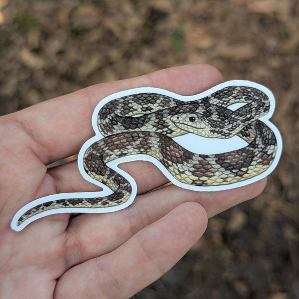 Pine Snake Vinyl Sticker