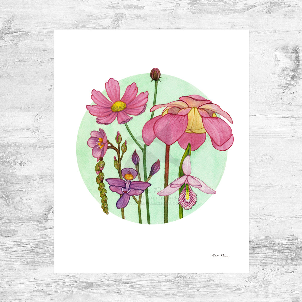 Pink Bog Art Print