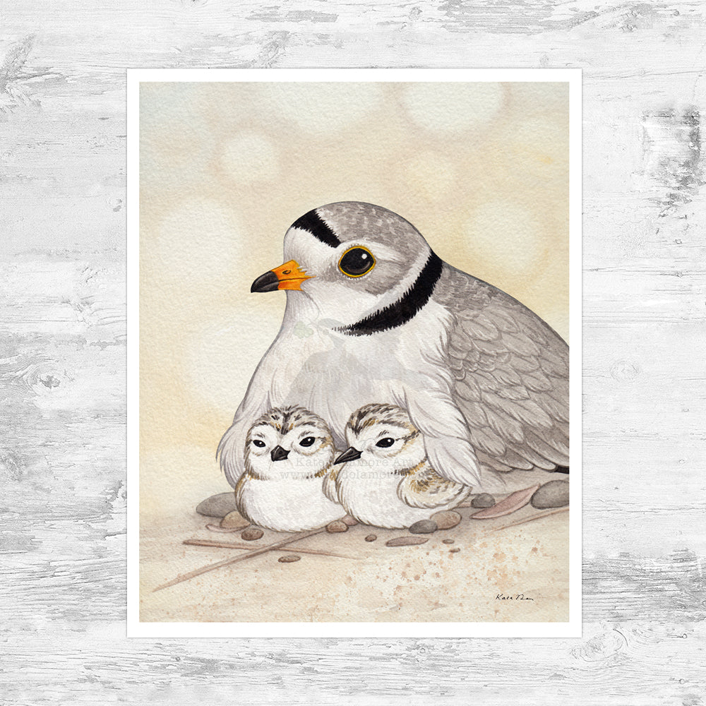 Piping Plover Family Art Print