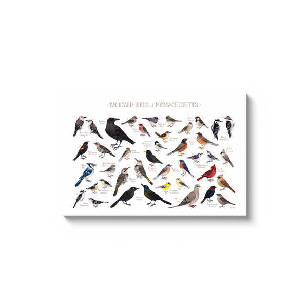Massachusetts Backyard Birds Ready to Hang Canvas Print