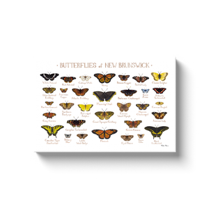 New Brunswick Butterflies Ready to Hang Canvas Print
