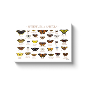 Manitoba Butterflies Ready to Hang Canvas Print