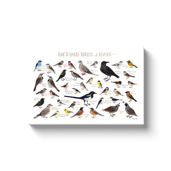 Idaho Backyard Birds Ready to Hang Canvas Print