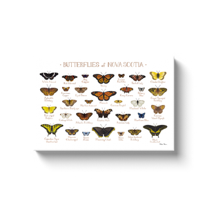 Nova Scotia Butterflies Ready to Hang Canvas Print