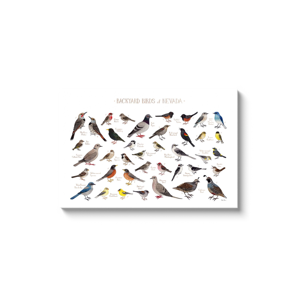 Backyard Birds (Eastern US) All-Over Print XS-XL Capri Leggings – Kate  Dolamore Art