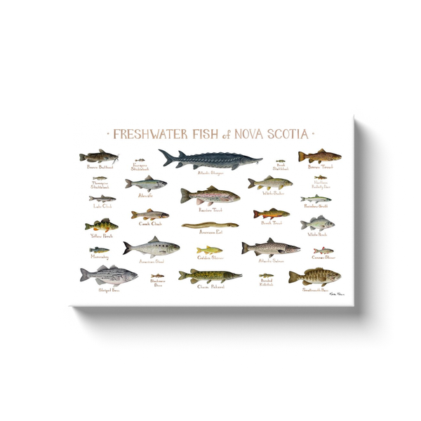 Nova Scotia Freshwater Fish Ready to Hang Canvas Print